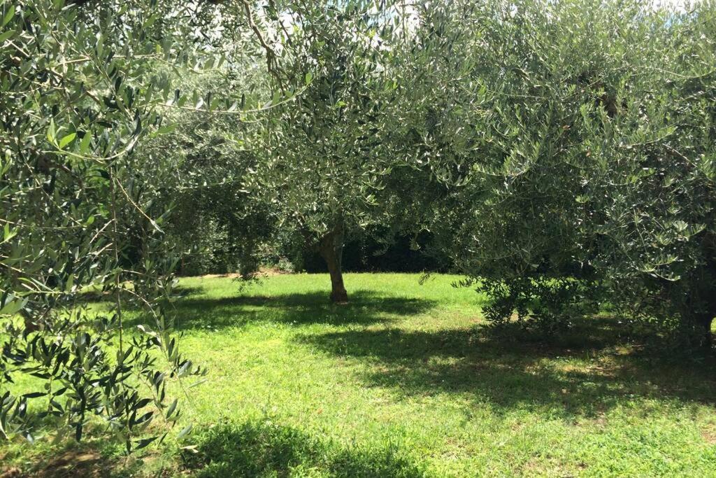 Campagna Toscana Presso Terme Διαμέρισμα Lari Εξωτερικό φωτογραφία